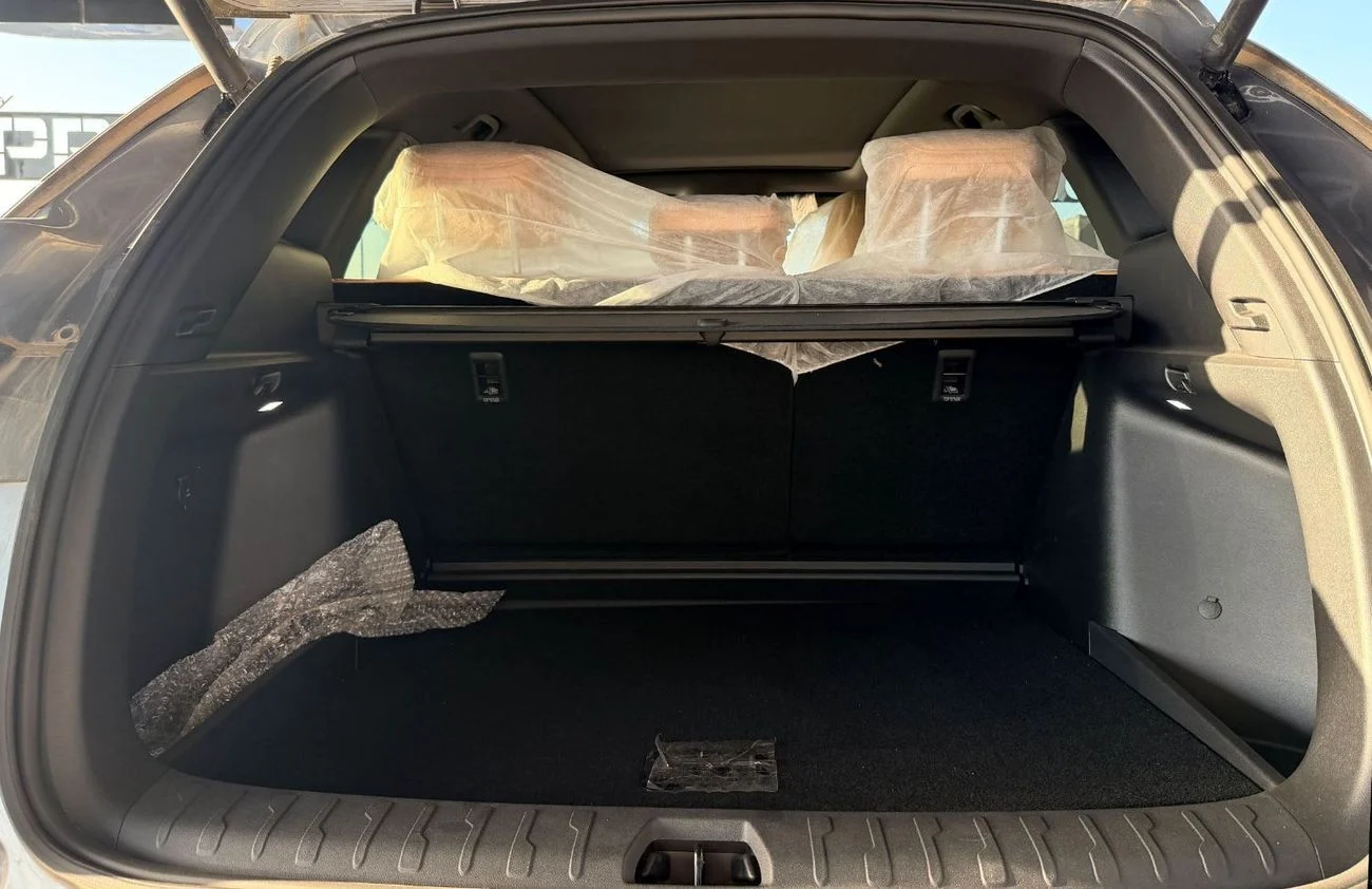 BYD Song L 2025