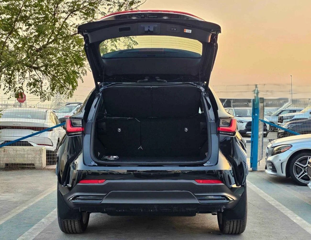 Lexus NX 350h HEV HYBRID LUXURY  2.5L V4 AWD