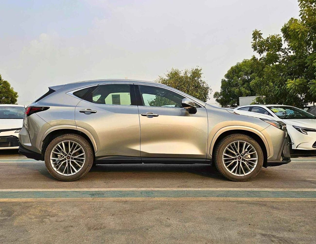 Lexus NX350 ELITE TURBO  2.4L PETROL