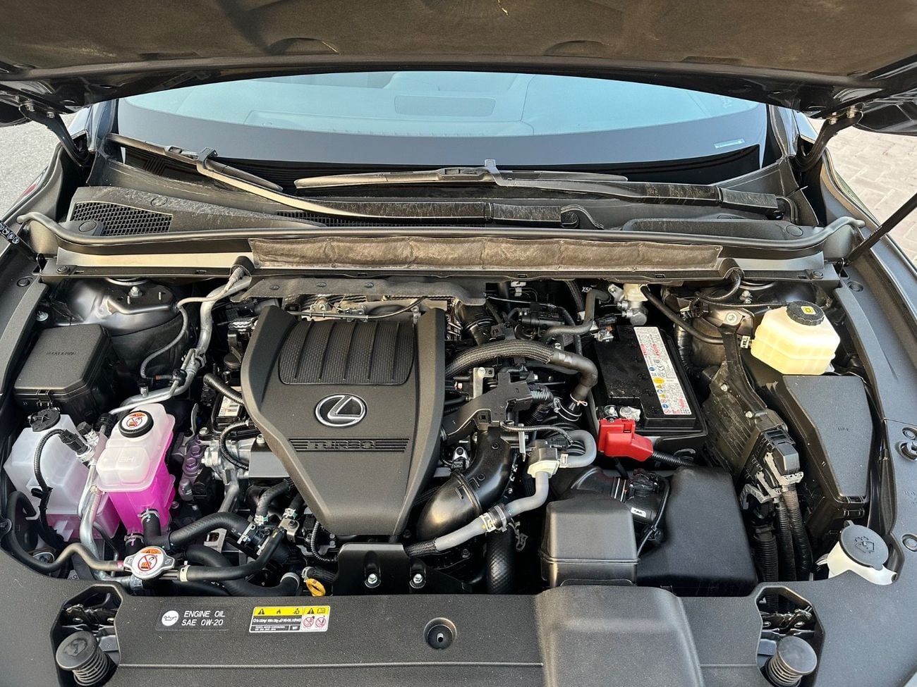 LEXUS RX350 FUL OPTION 2.4l _  2025
