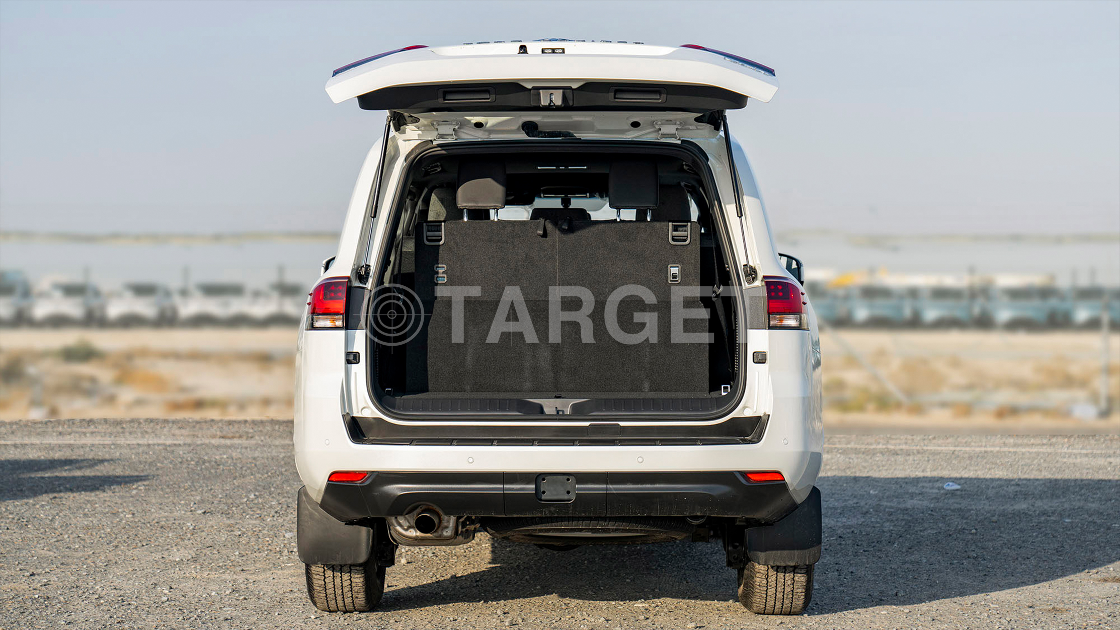 TOYOTA LAND CRUISER LC300 GXR 4.0P AT _ WHITE