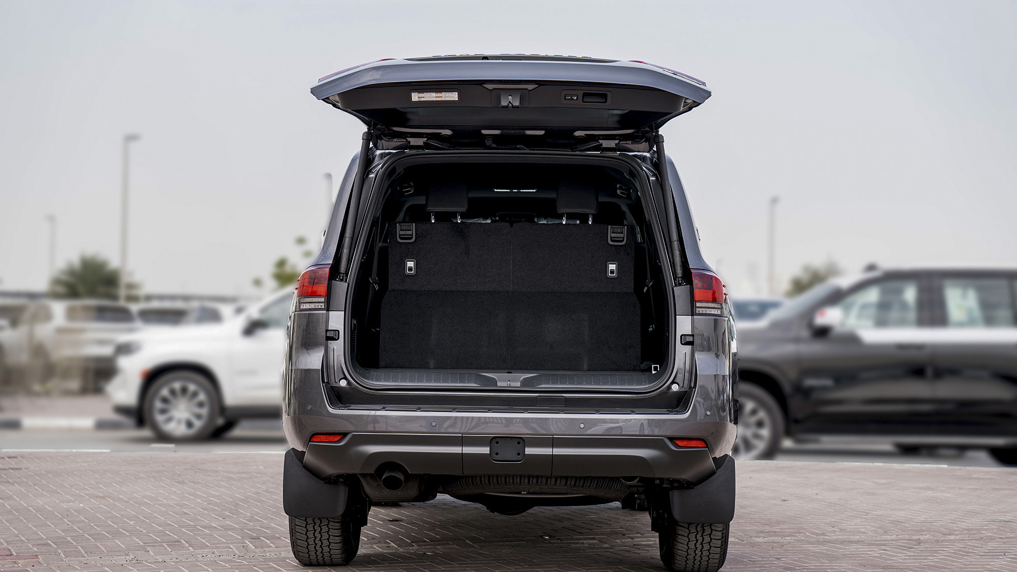 TOYOTA LAND CRUISER LC300 VX 3.5P AT _ gray
