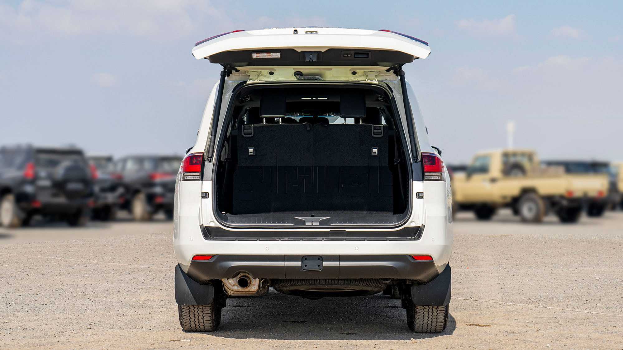 TOYOTA LAND CRUISER LC300 VX 4.0p white