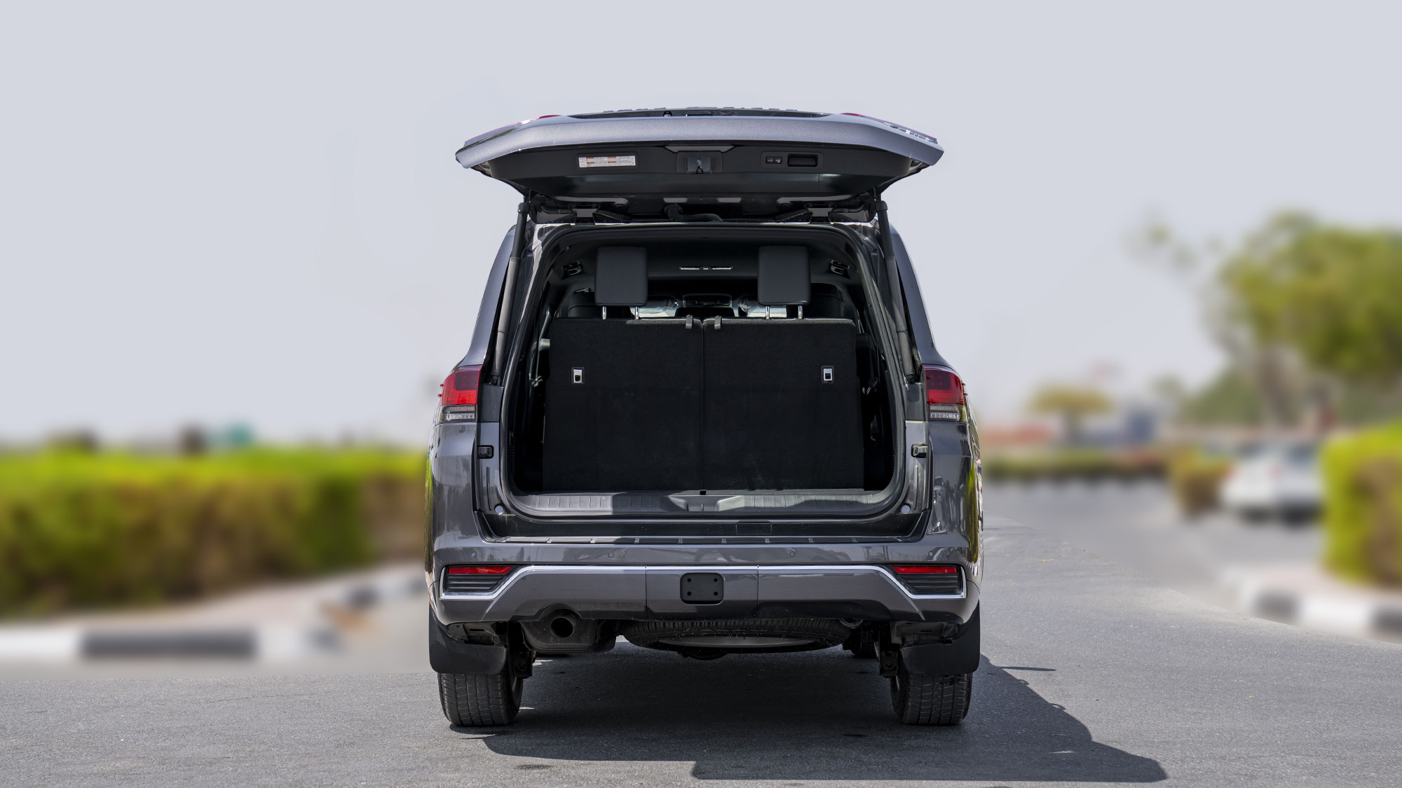 TOYOTA LAND CRUISER LC300 VXR 3.3D AT _ gray