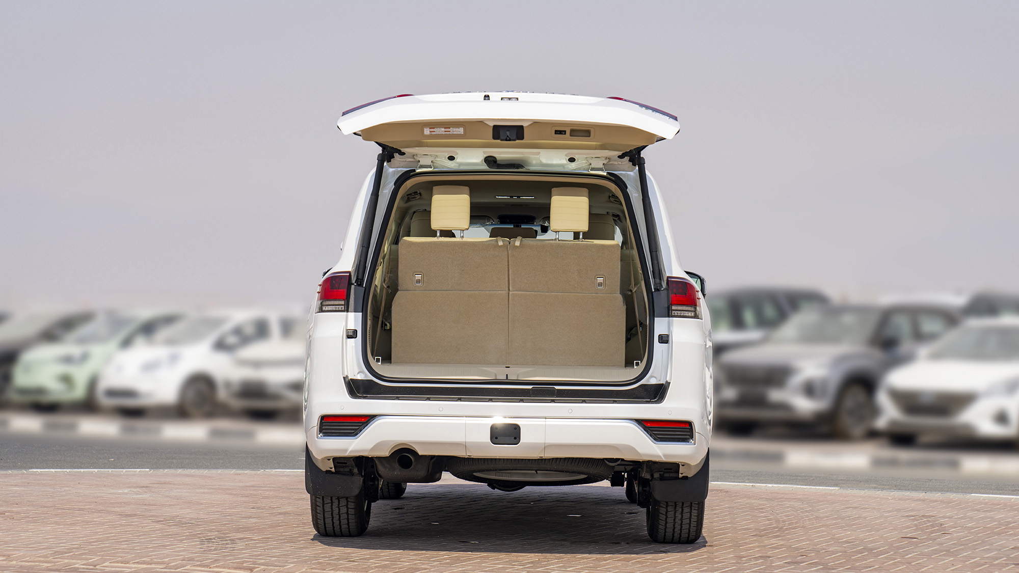 TOYOTA LAND CRUISER LC300 VXR 3.3D AT - white